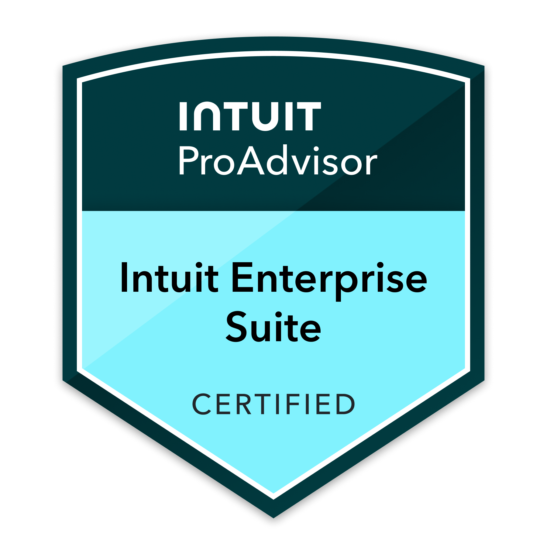 Intuit ProAdvisor Enterprise Suite Certified
